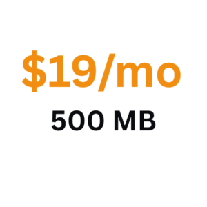 $19/mo 500 MB
