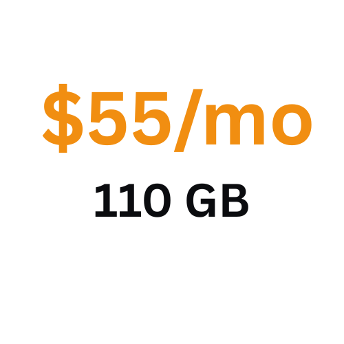 $55_mo 110 GB